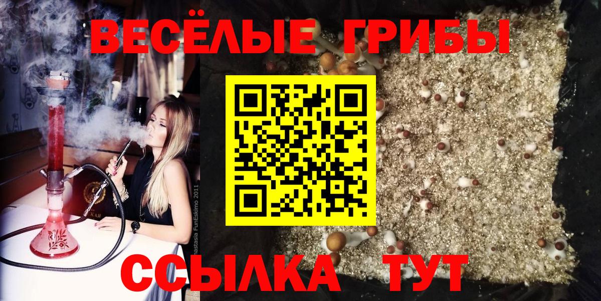 Псилоцибиновые грибы Magic Shrooms Реутов