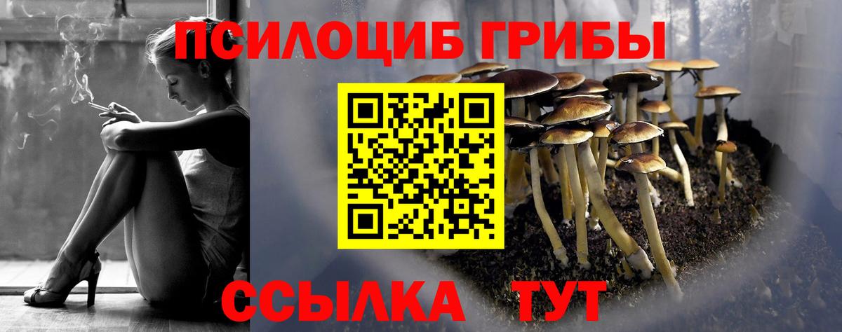 Галлюциногенные грибы Psilocybine cubensis  Вход с VPN  Реутов 